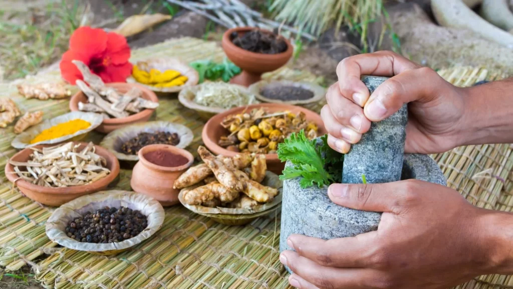 An Introduction to Ayurveda: Understanding the Origin, Principles, and Meaning of Ayurveda